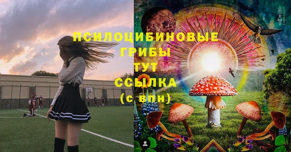 мескалин Нягань